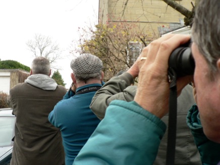 twitchers